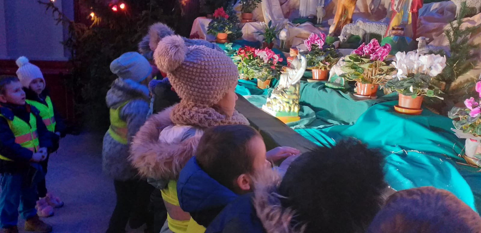 WhatsApp Image 2020-01-23 at 07.55.02.jpeg